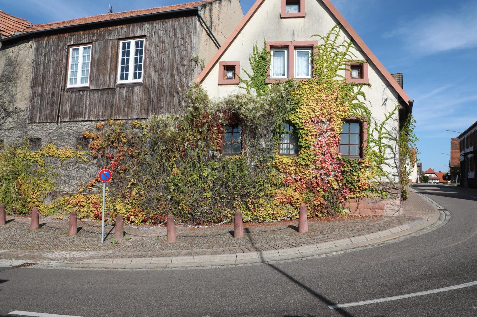 Suedpfalz Barbelroth Zewnętrze zdjęcie